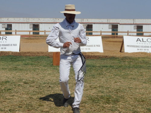 Peruvian Step Horse Show.